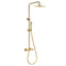 Swatch för Takduschset Firenze Borstat Guld 200x300 mm