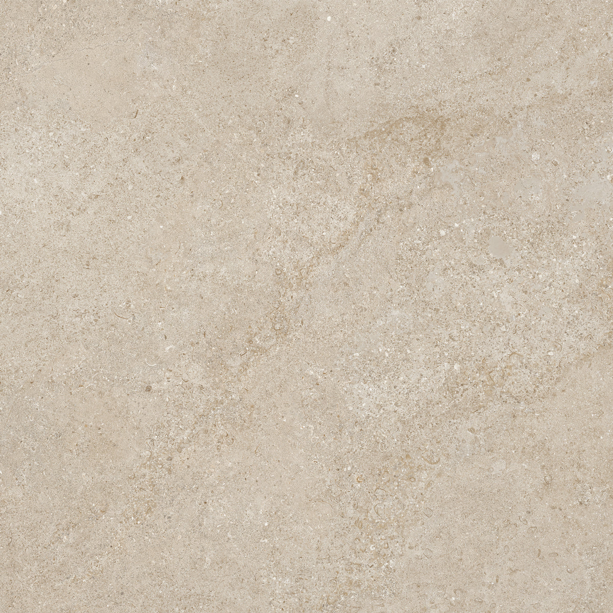 Klinker Arenite Kalksten Natural Matt 60x60
