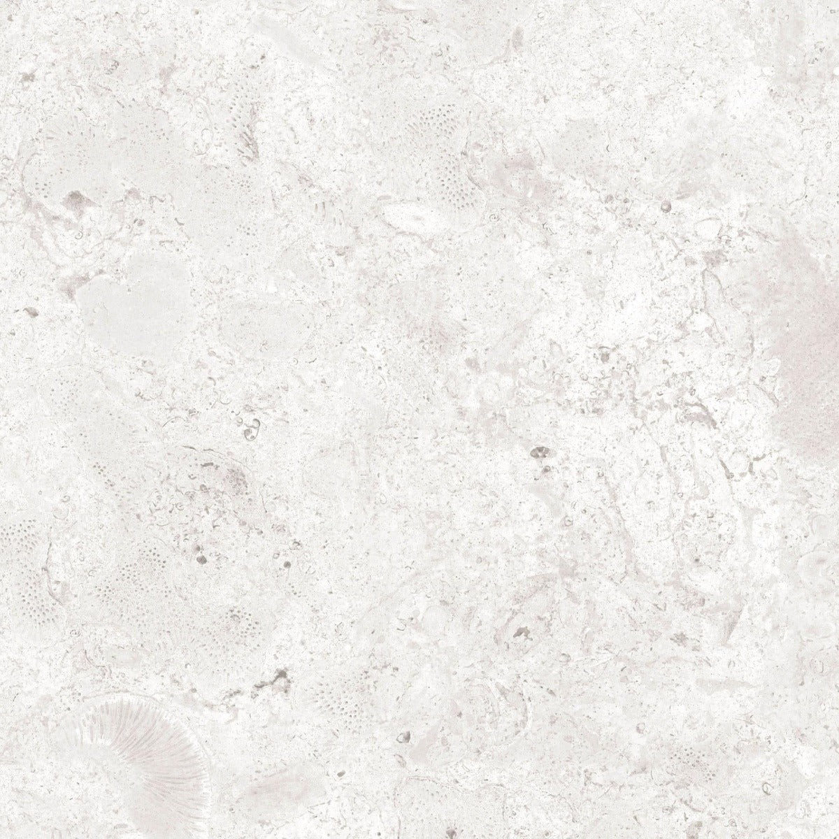 Paketpris! 5,76 m² Klinker Coralina Perla Matt 60x60 (249:-/m²)