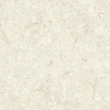 Klinker Gotlandssten Kalksten Bone 60x60